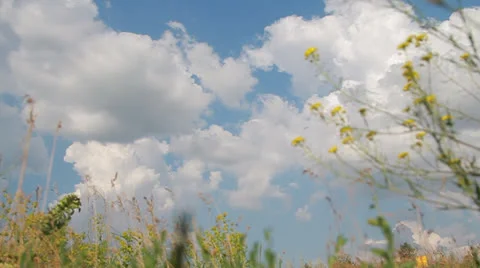 Plane is landing 2 Stock Footage 25710879