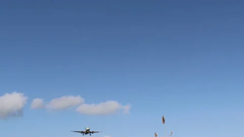 Plane landing - 4k - ProRes Stock Footage 146600613