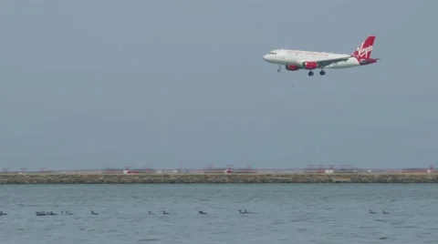 Plane Landing Stock Footage 42264742