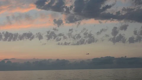 The plane is landing Stock Footage 77482925