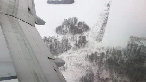 Plane landing Stock Footage 98654906