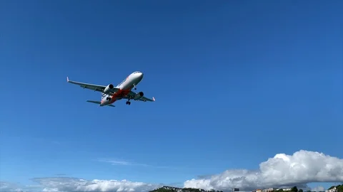 Plane landing Vidéo 115973622