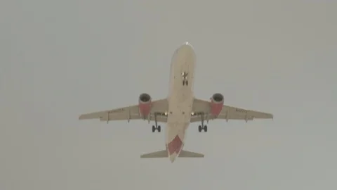 Plane landing at LAX 스톡 동영상 98507713