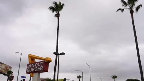 Plane Landing Over In-N-Out Burger Near LAX Los Angeles, CA 12-1-2024 Stock Footage 295382249