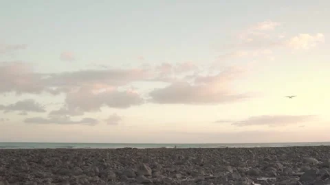 Plane landing over volcanic beach during sunset Stock Footage 293082659