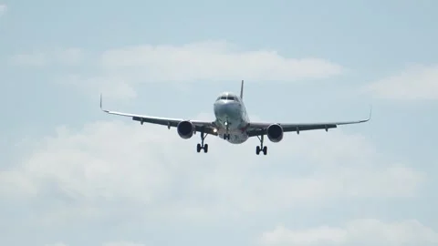 Plane landing in Phuket 動画素材 315880164