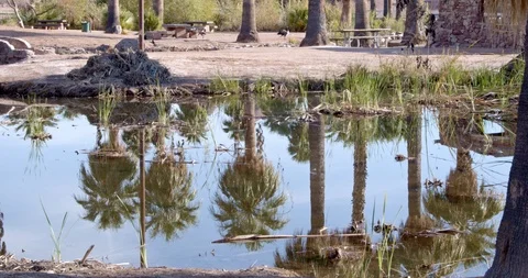Plane Landing in Reflection Stock Footage 120045093