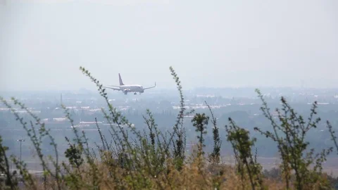 Plane Landing On Runway Stock Footage 118250930