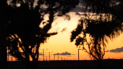 Plane landing seen through the trees and bushes Stock Footage 104848997