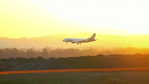 Plane landing at sunset Vidéo 143663985