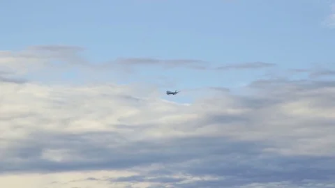 Plane landing in Venice Stock Footage 84991499