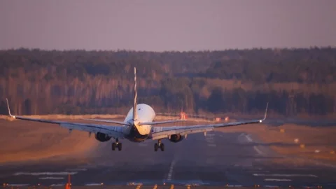 The plane lands. Runway on the background of the forest. Stock Footage 103564784