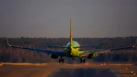 The plane lands. Runway on the background of the forest. Beautiful green plane. Stock Footage 103565673