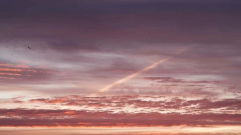 The plane is making a turn and flying at sunset. Clouds of orange, pink and Stock Footage 126606671