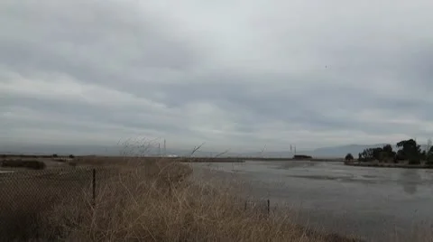 Plane marsh sideview Stock-Footage 10720981