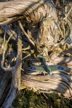 Plane model Foto stock