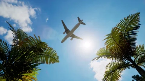 Plane over palm trees Stock Footage 194999049