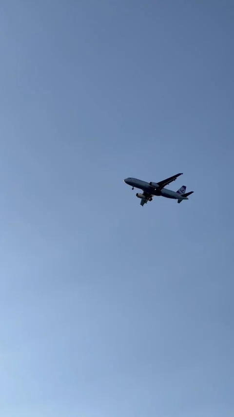 Plane over tropical land with palm trees Stock Footage 336984367