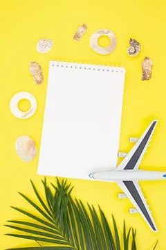 Plane with palm branches with frame of shells around notepad on summer yellow Stock Photos
