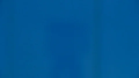 The plane in the palm Stock Footage 79028769