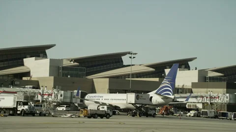 Plane parked at terminal Stock Footage 197494773