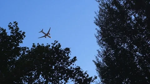 Plane passing over trees outdside Stock Footage 96465799
