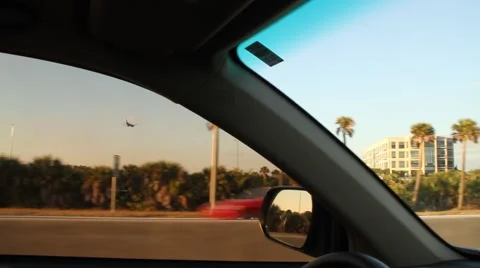 Plane seen through car window with palm trees in background Stock Footage 52813418