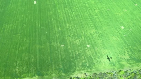 Plane shadow on a farm field from flying small propeller aircraft. Video stock 154042019