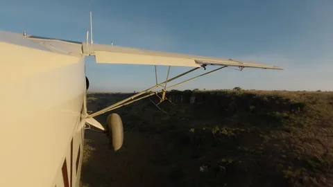 Plane side view flying low over river at morning Video stock 310969827
