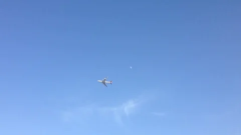 Plane in sky Stock Footage 80503986