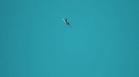 Plane in the sky summer Video stock 47924083