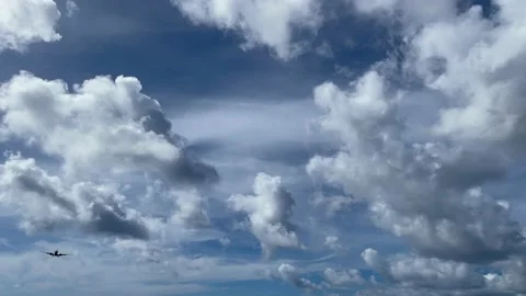 The plane in the sky, view from the land. Video stock 166699338