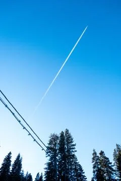 Plane Stream in Forest Stock Photos