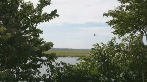 Plane takeoff 스톡 동영상 722494