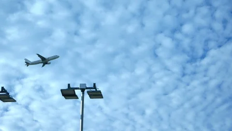 The plane takes off from the runway Stock Footage 116079803