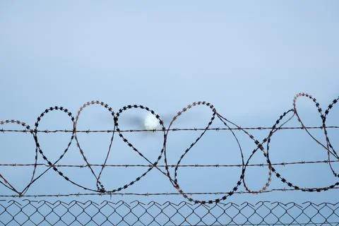 Plane taking off behind barbed wire fence, selective focus on wire. Stock Photos