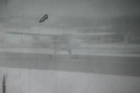 Plane Taking Off Stock Footage 24673343