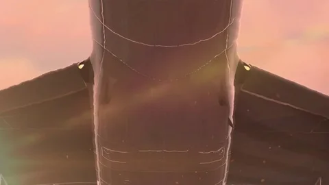 Plane taking off Stock-Footage 76599176