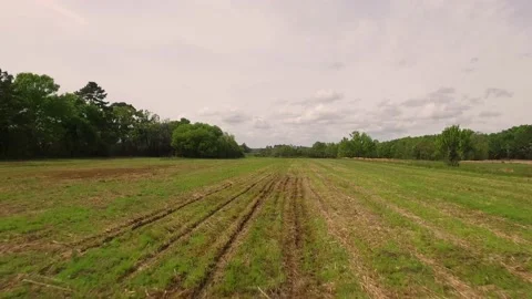 Plane taking off from grass landing strip POV Video stock 167372000