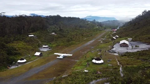 Plane Taking off in Jungle Stock Footage 171732450