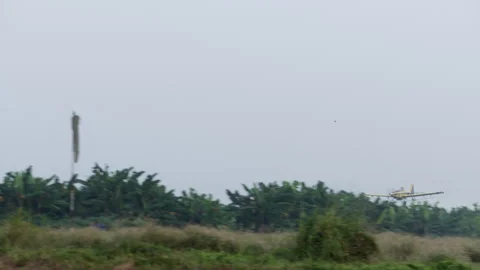 Plane Taking Off Over The Trees On A Cloudy Day Stock Footage 261965254