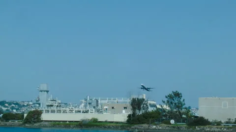 Plane taking off with palms trees on background Video stock 53585592