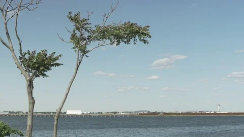 Plane taking of with Train in Foreground Stock Footage 77191789
