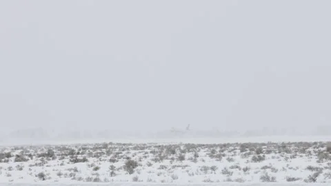Plane taking off in windy and cloudy conditions in mid winter. Shot in 4K Stock Footage 331158560