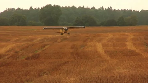 Plane taxing on corn field Stock Footage 49124005