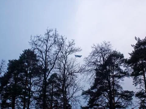 Plane through the trees on a cloudy day Stock Photos