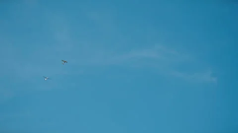 The plane is towing a glider in the sky. Stock Footage 314343214