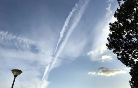 Plane tracks in the sky with tree and lamppost Stock Photos