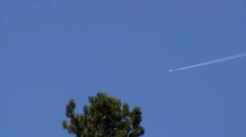 Plane by tree and mountains Stock Footage 1020038