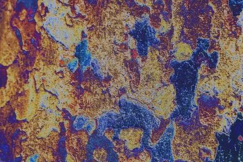 Plane tree bark close-up, changed colors, vegetal background. Stock Photos